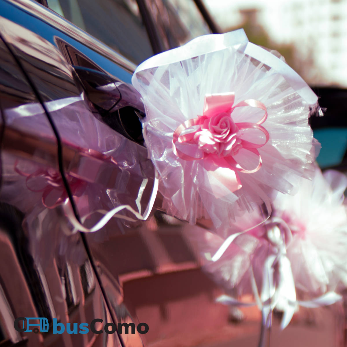 Minibus per transfer eventi e matrimoni tra Como e Lugano